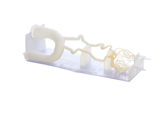 neuro vascular DAP 3d Print