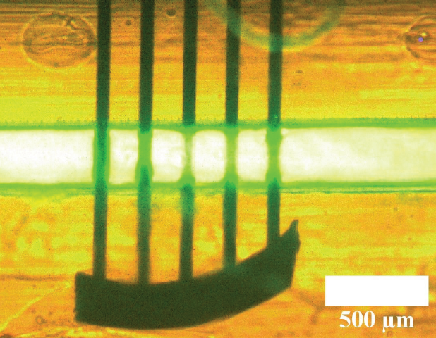 PolyJet in Microfluidics