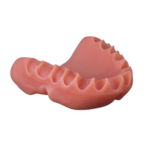 FotoDent® denture 385nm by Dreve